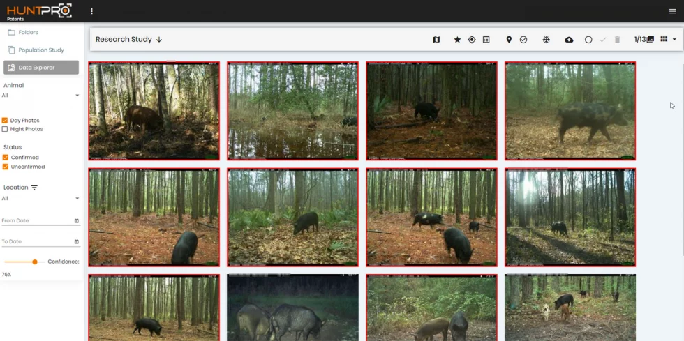Here Piggy, Piggy: USDA Wild Pig Research and HuntPro