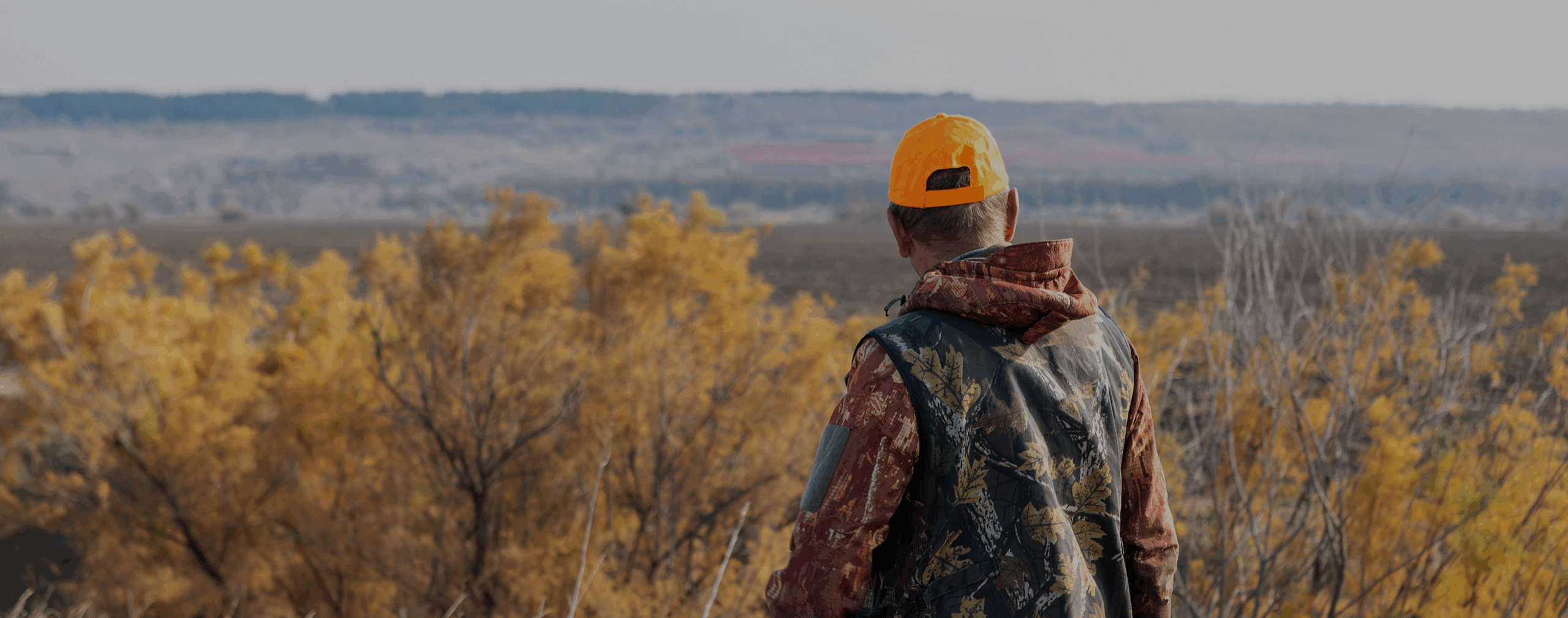 Hunter looking out into a field