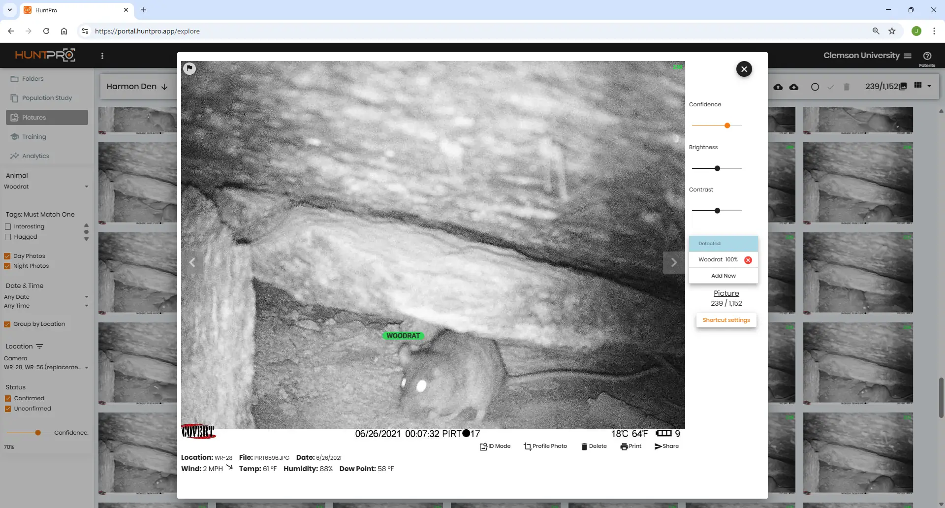 Clemson Woodrat Study