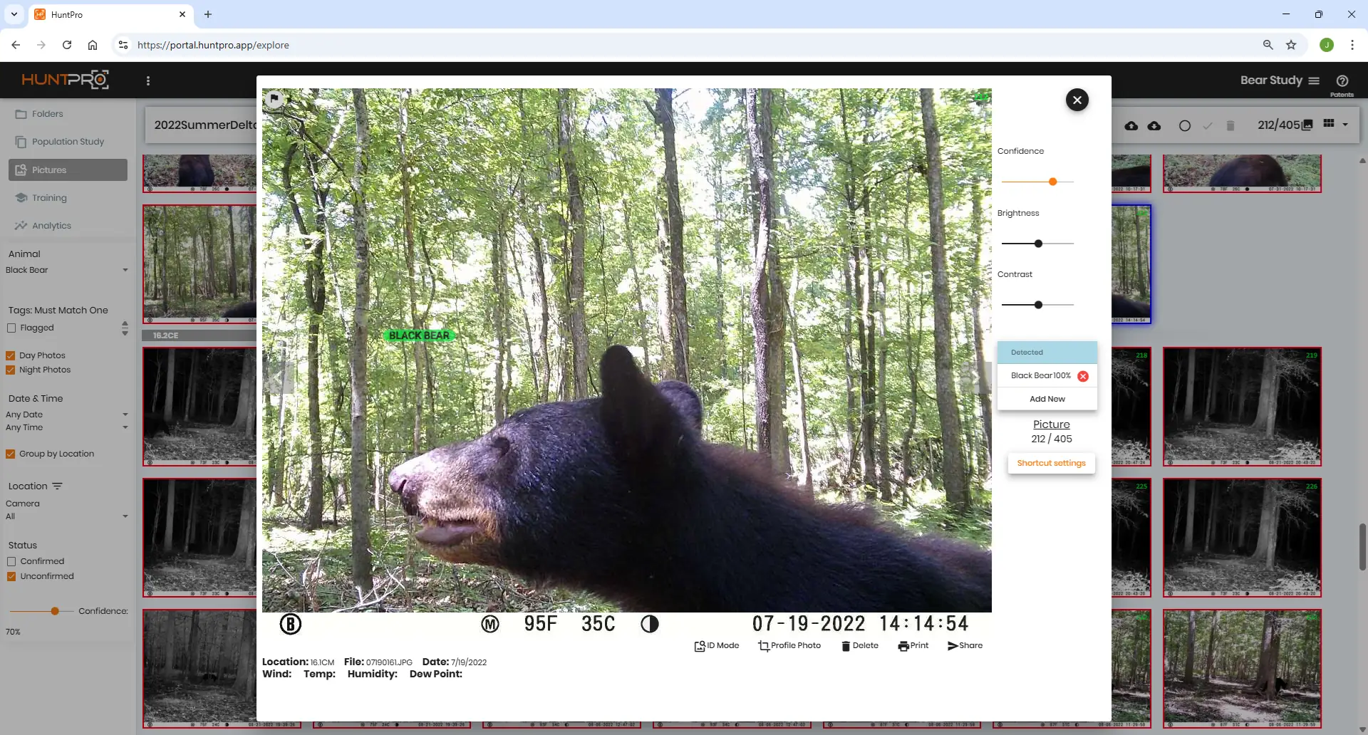 MSU Black Bear Study